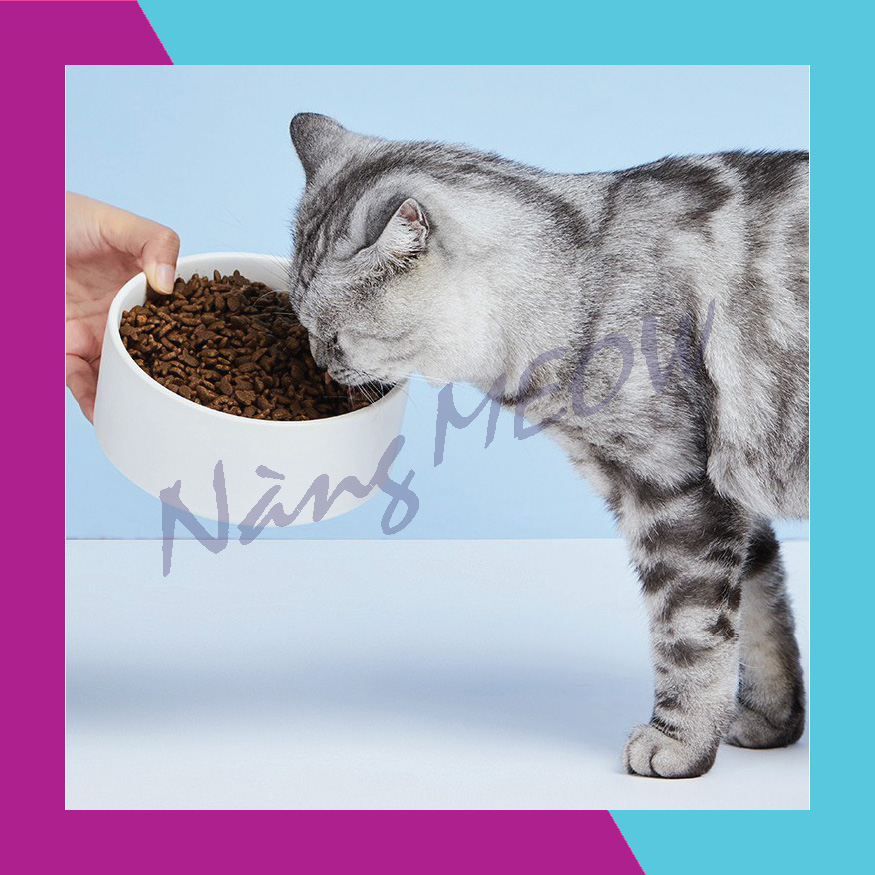 Thức ăn hạt khô cho mèo Cateye lẻ 1KG