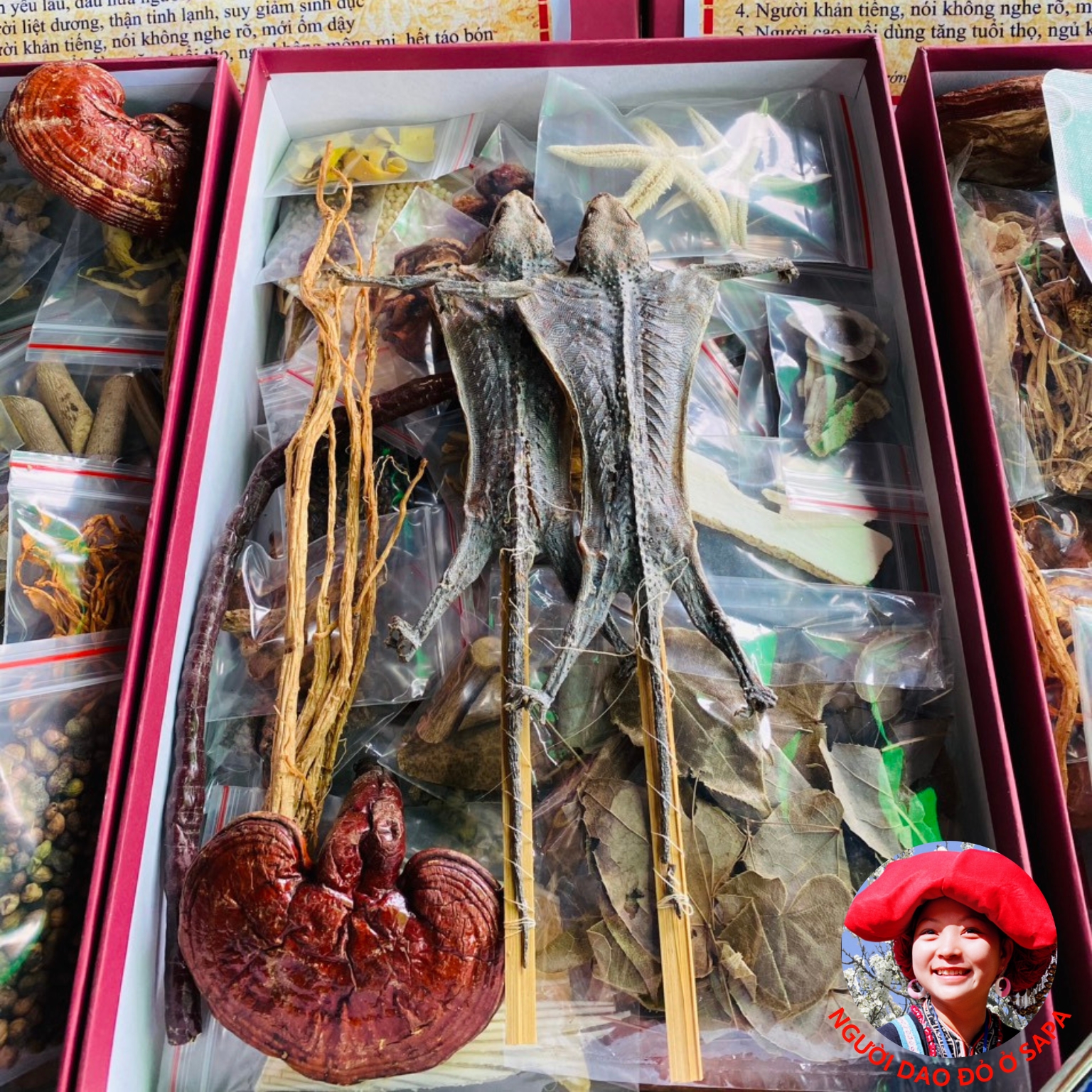 Minh mạng thang 40 vị đặc biệt. Đồ ngâm rượu thuốc thang nhất dạ ngũ giao giúp bổ thận tráng dương, tăng cường sinh lý nam