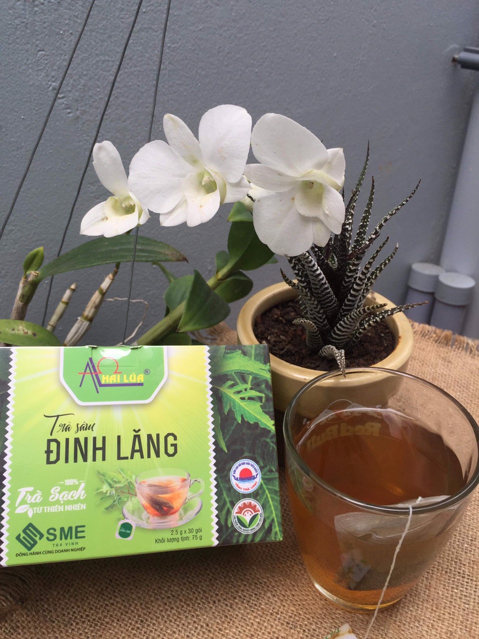 Trà Sâm Đinh Lăng (trà túi lọc) [Hai Lúa - Phú Qưới ]hộp 30 gói