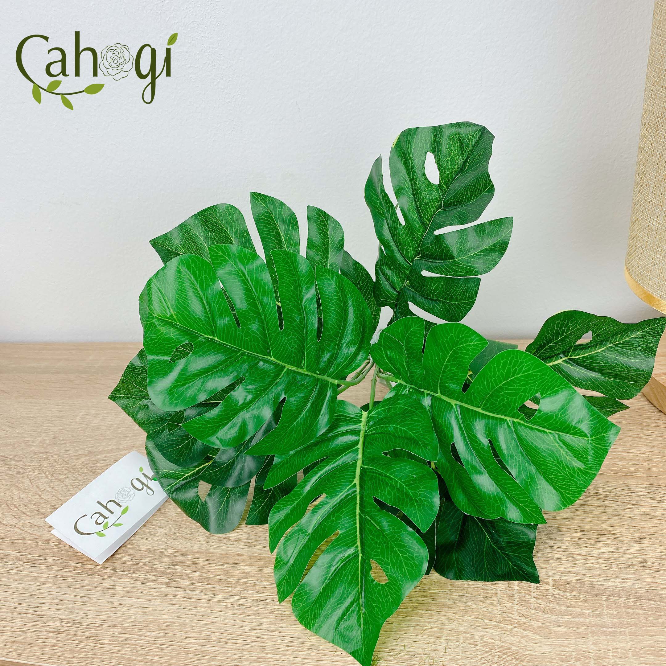 Cây Giả Cây Lá Rùa 30cm