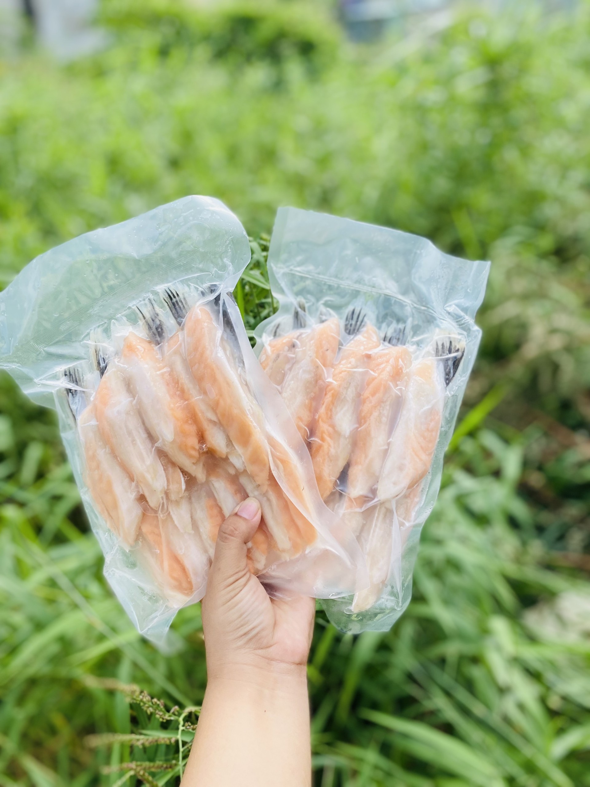 [GIAO NHANH 2H HCM] Giá Sỉ - Vây Cá Hồi Na Uy (1Kg)