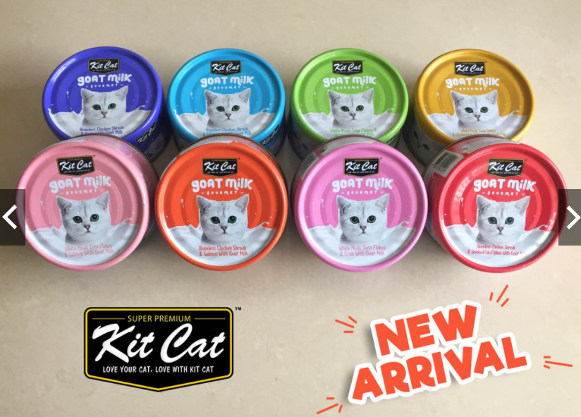 Pate sữa dê Kit Cat cho mèo lon 70g