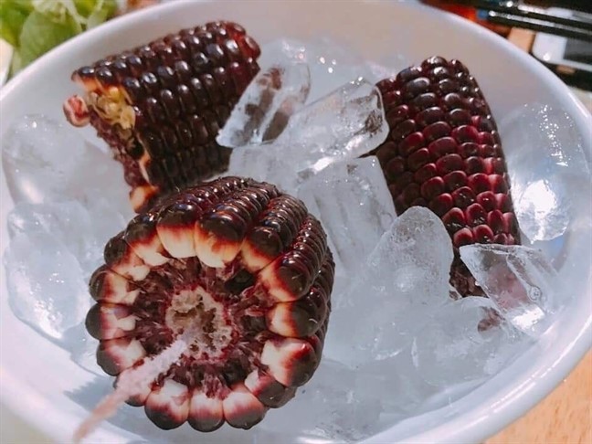Hạt giống Ngô nếp tím (Gói 20 hạt)