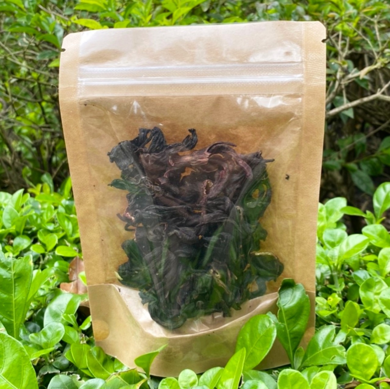 Trà Atiso Đỏ