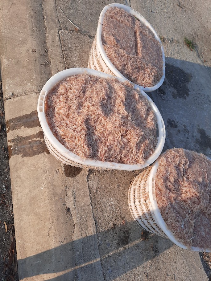 Mắm tép chưng thịt chai chai 500gr