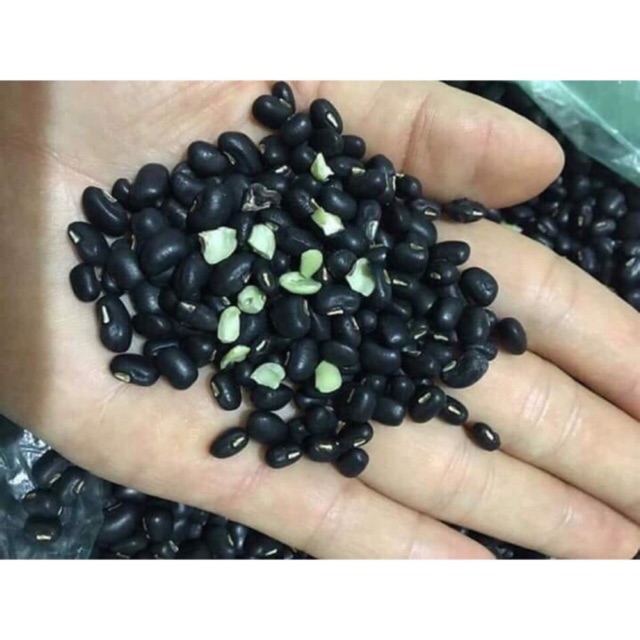 Đỗ Đen Xanh Lòng Hạt Nhỏ Siêu Bở (1kg đã rang giòn)