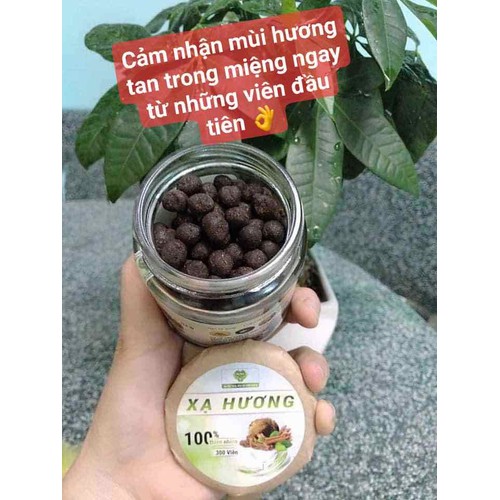 Viên xạ hương mẹ ken ( hủ 300 viên)
