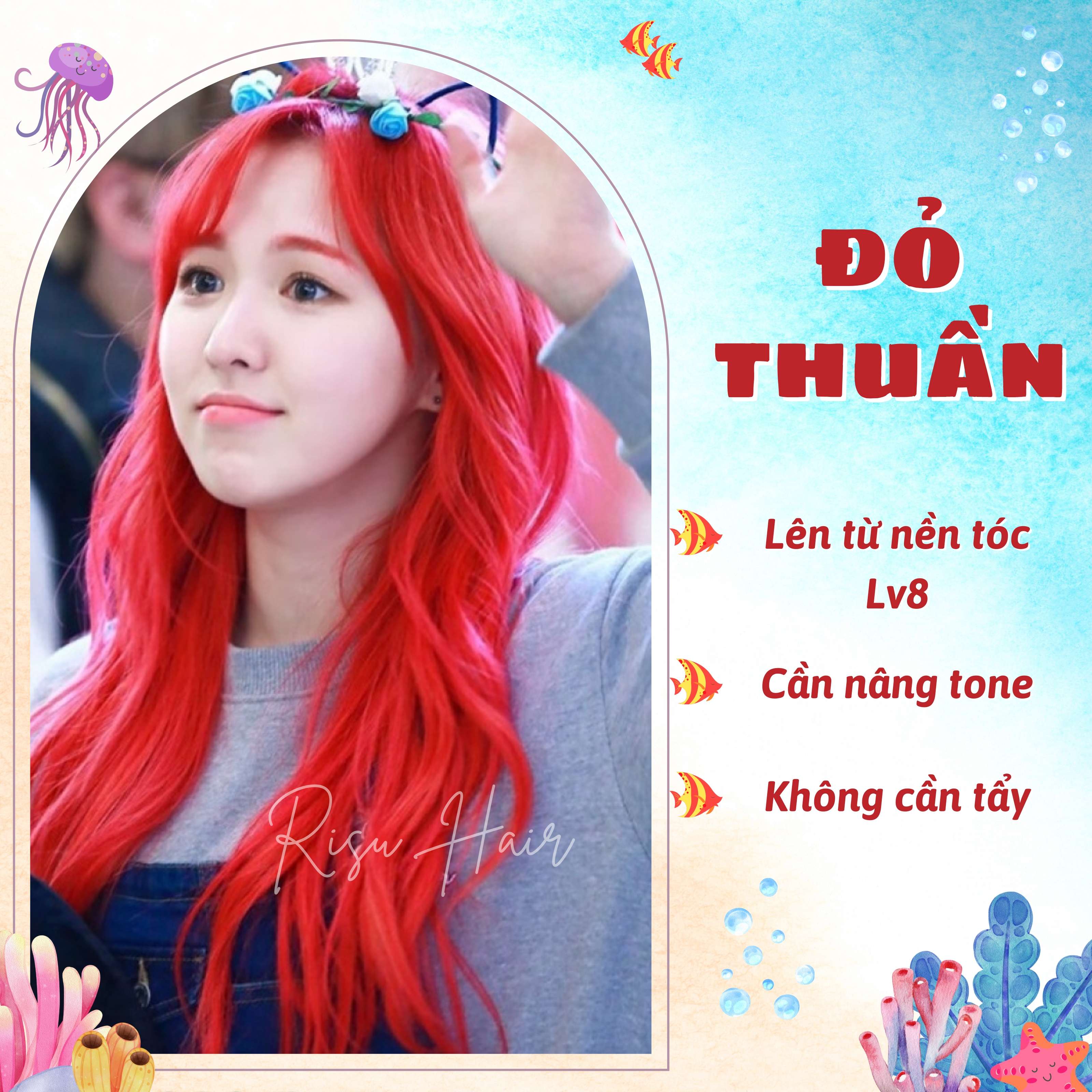 Thuốc Nhuộm Tóc Màu Đỏ Thuần - Risu Hair.