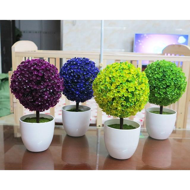 Chậu Hoa Cẩm Tú Cầu (Chậu Lẻ)