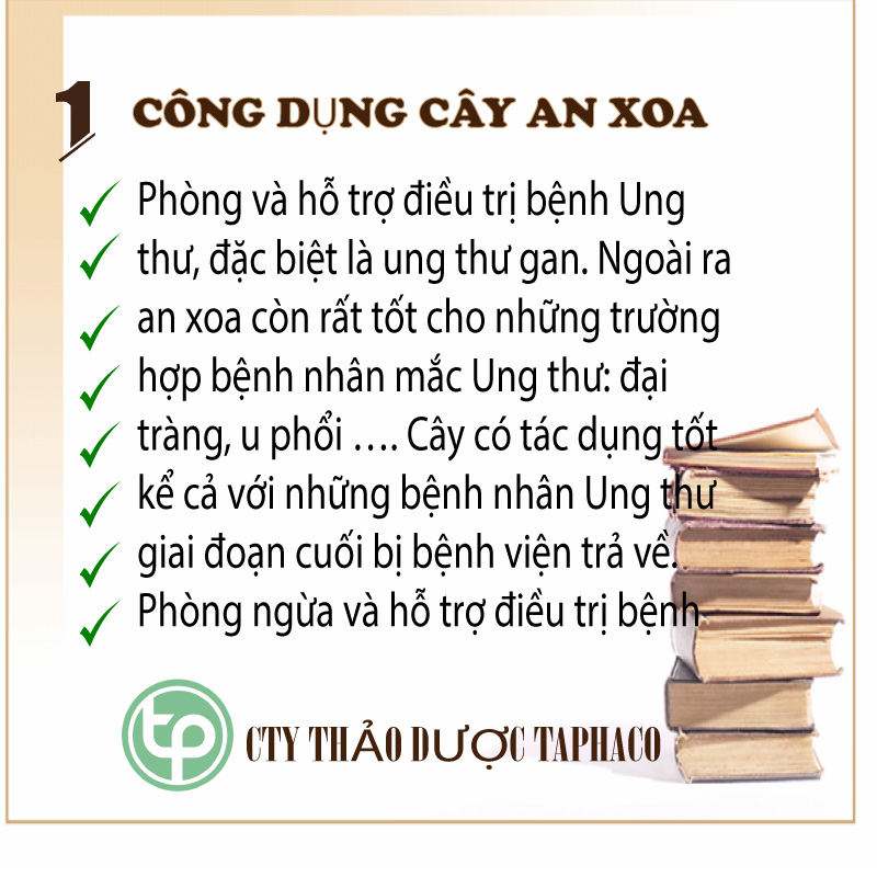 [Trà an xoa sấy khô] Cây an xoa khô 500g - Thảo Dược Tấn Phát - Hàng loại 1 chất lượng cao - Hỗ trợ thanh nhiệt và giải độc