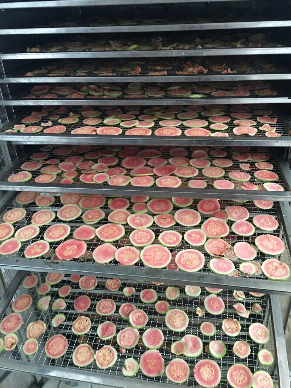 Cold guava-detox fruit 100g package