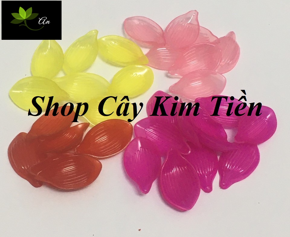 Cánh sen pha lê đá ( 100gr)