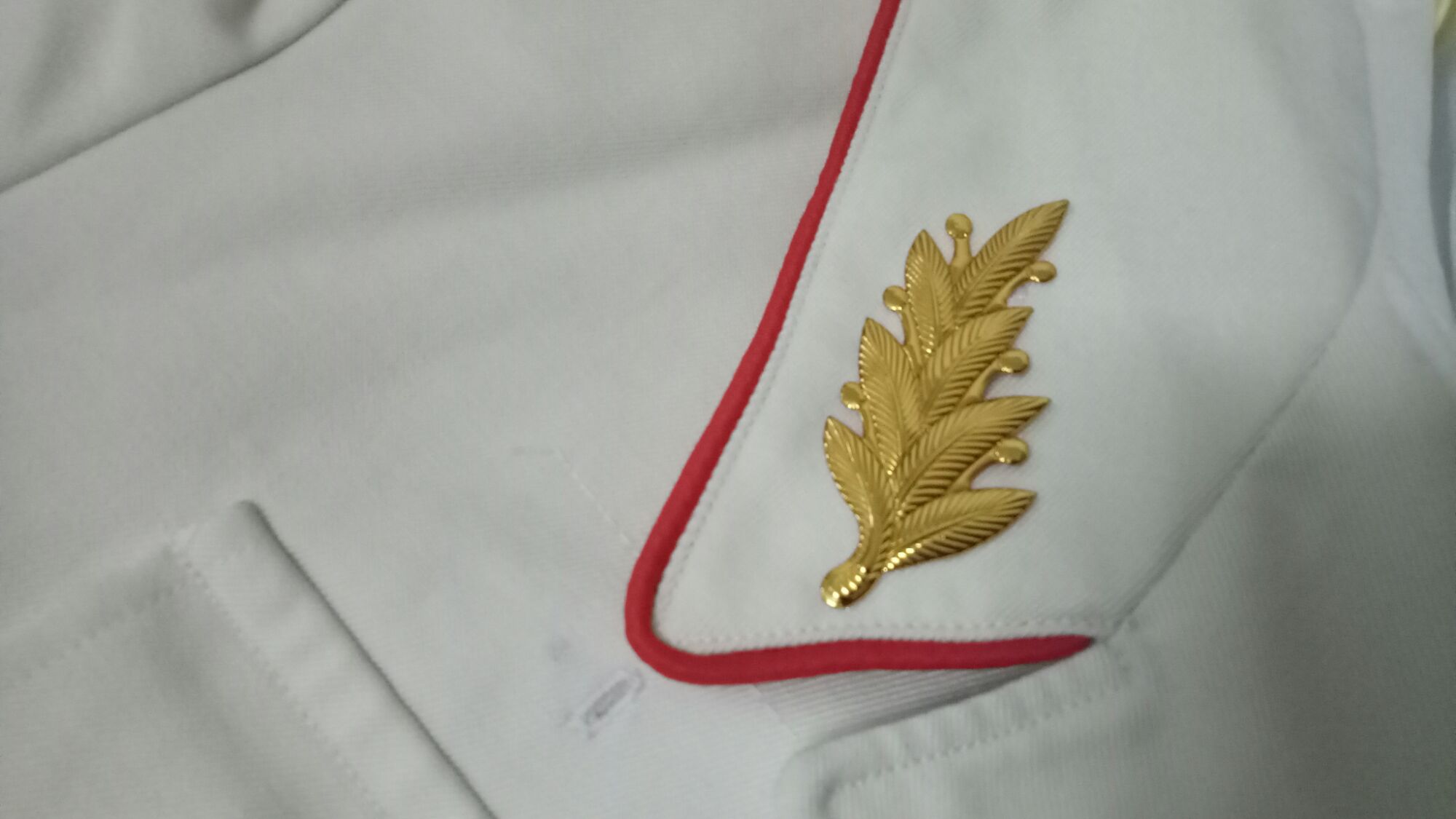 Cành tùng cài áo vest