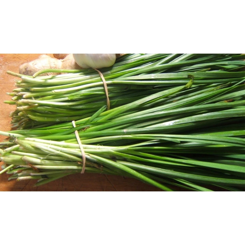 Phân bón Đạm U rê, Phân Lân, Phân Kali 500gram