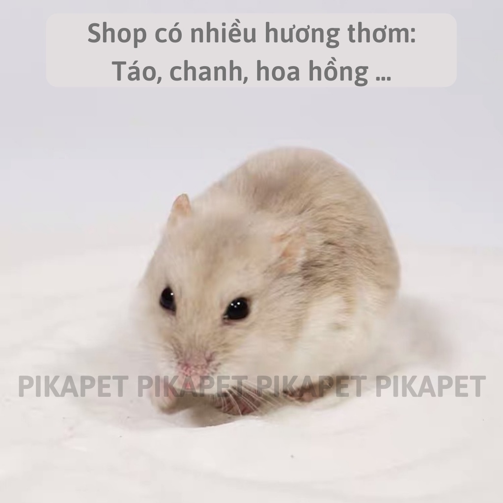 ✅Cát tắm thơm cho Hamster HOT SALE