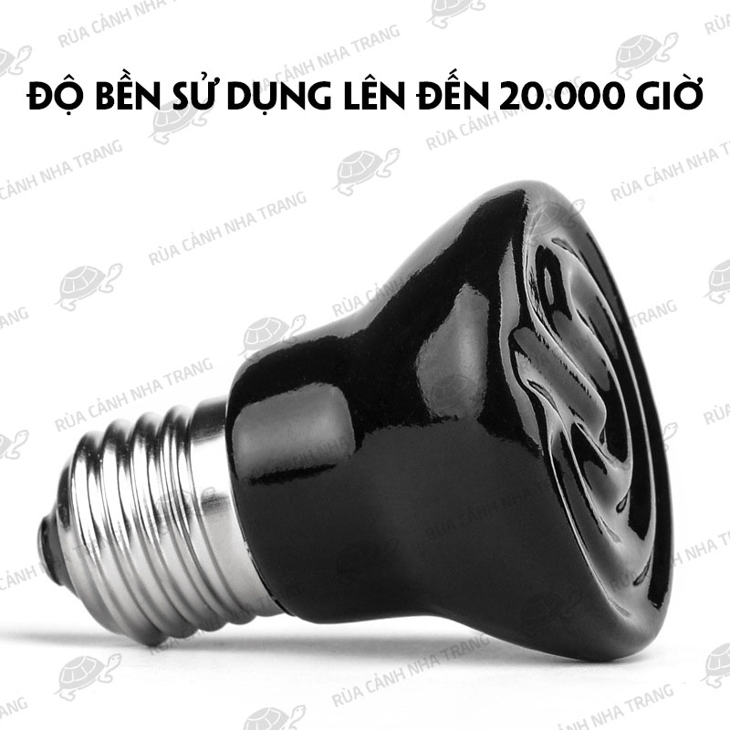 Đèn Sưởi Sứ Ban Đêm, Đèn Sưởi Cho Bò Sát