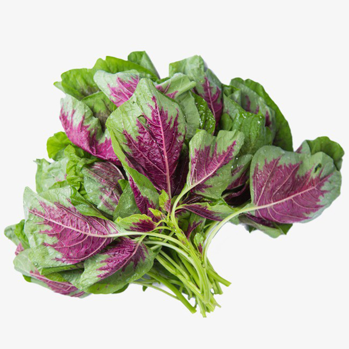 Hạu giống Rau Dền Tía ( Dền Tiều) 50g