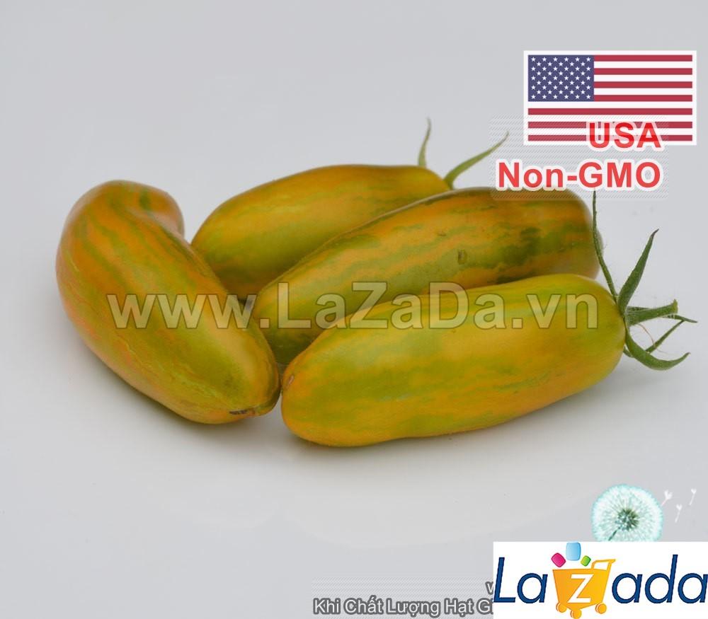 10h Hạt Giống Cà Chua Xúc Xích Xanh (A2.101| C3*W45*M235)