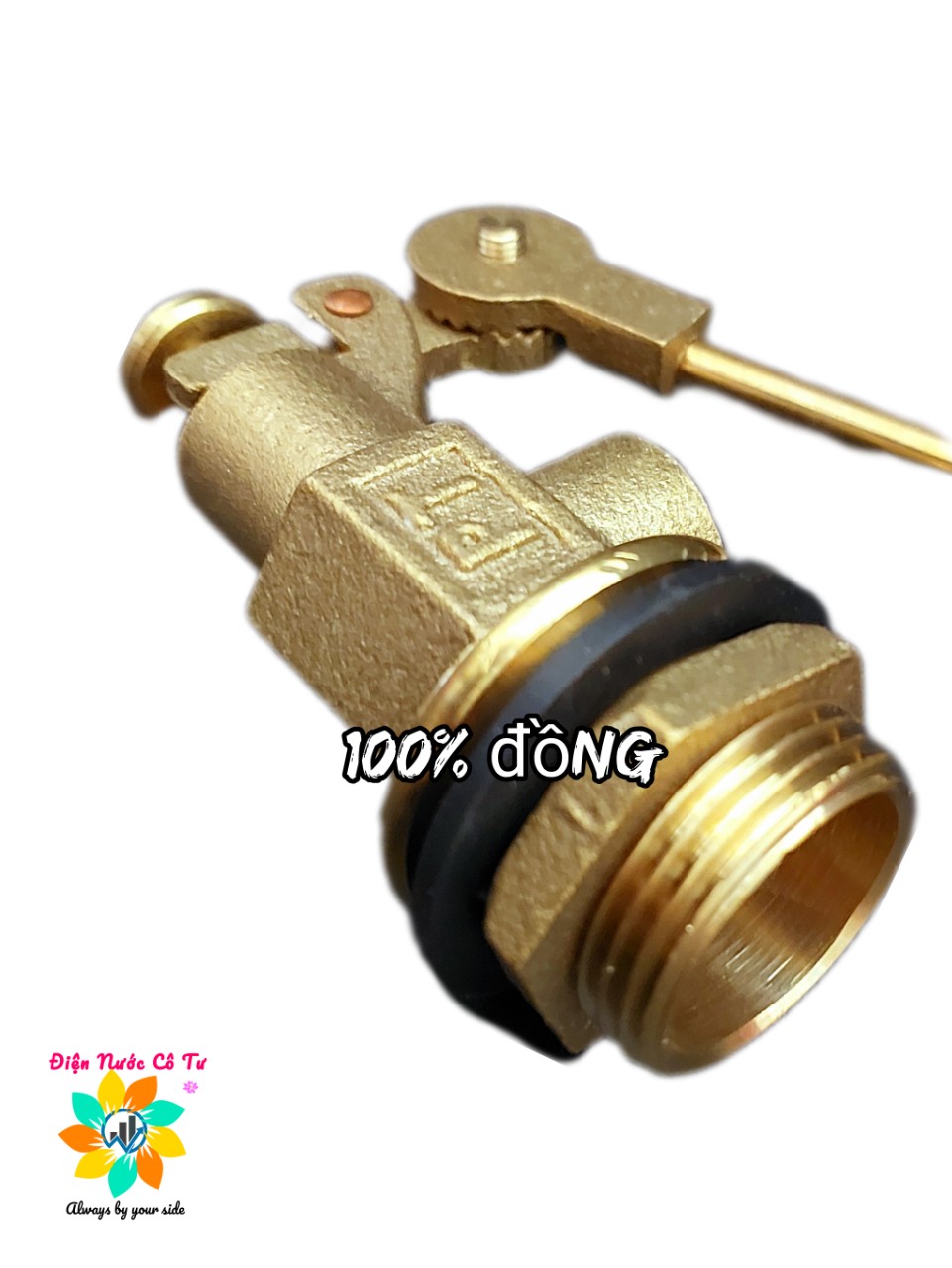 (hàng nặng) Phao cơ Thau Đài Loan phi 21/27/34mm