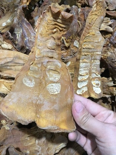 Măng Lưỡi Lợn Khô 1kg