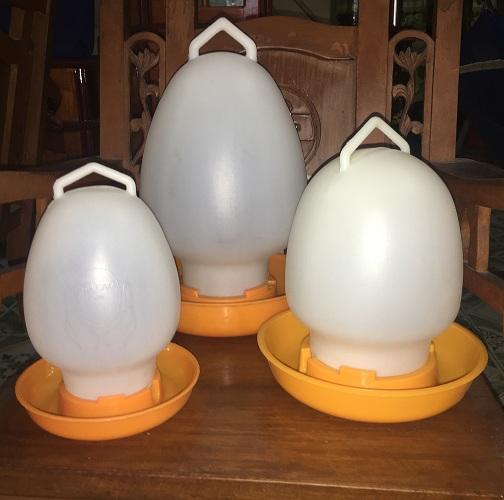 Máng Uống Cho Gà Vịt 2, 4, 8 Lít
