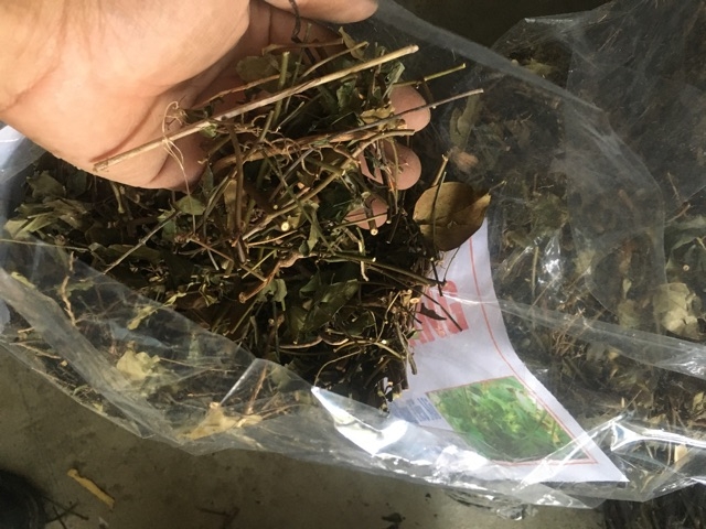 1kg chè vằng giảm cân lợi sữa