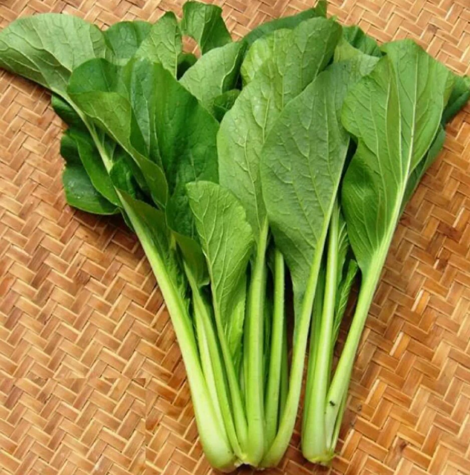 HẠT GIỐNG CẢI NGỌT (gói 20gram)