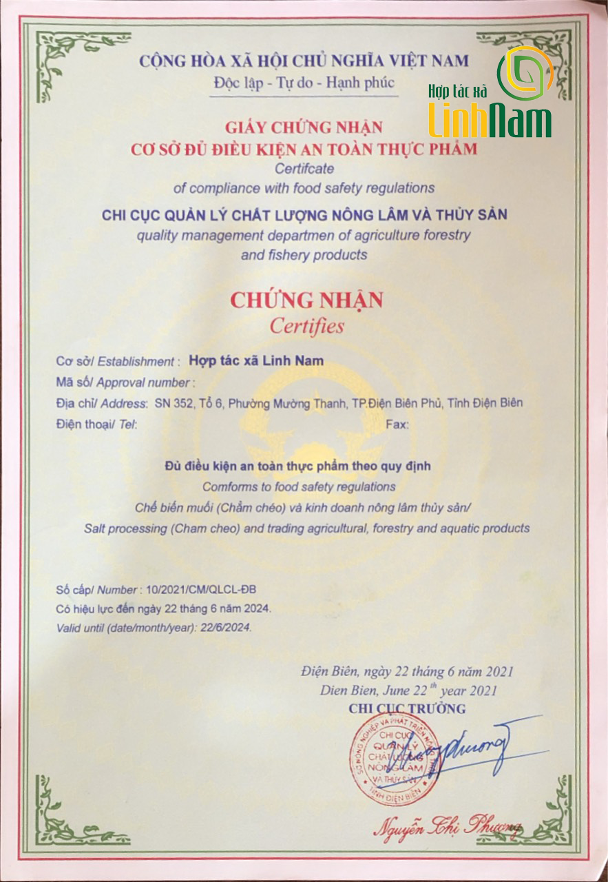 Chẳm Chéo Điện Biên (Chính Hãng)