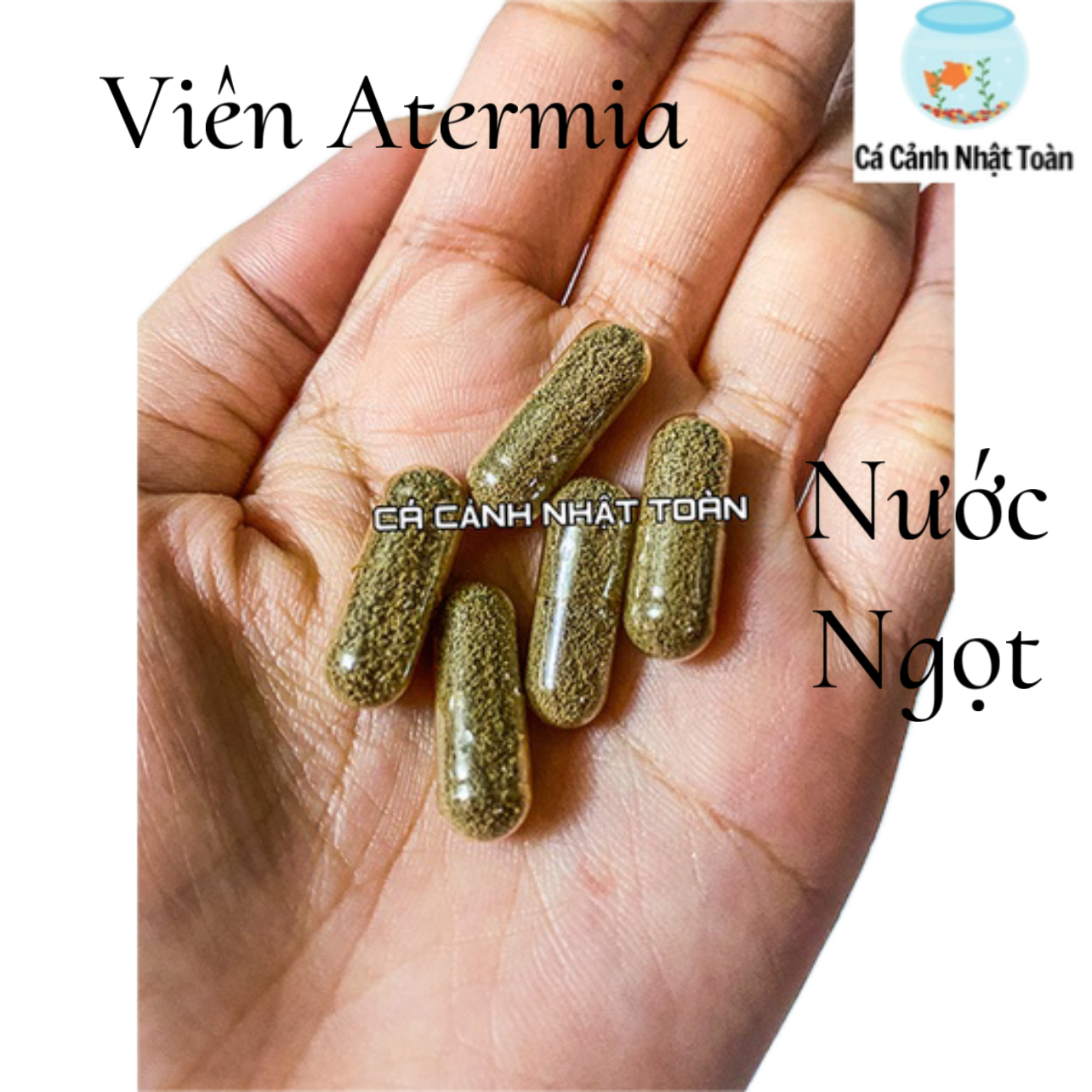 "Hoàn tiền đến 10%" VIÊN ARTEMIA NƯỚC NGỌT CHO CÁ CẢNH