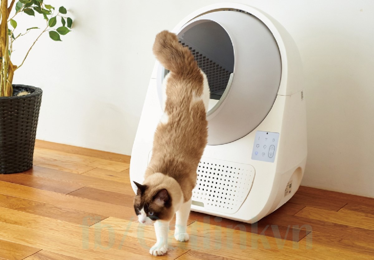 Nhà vệ sinh tự dọn cho mèo CATLINK