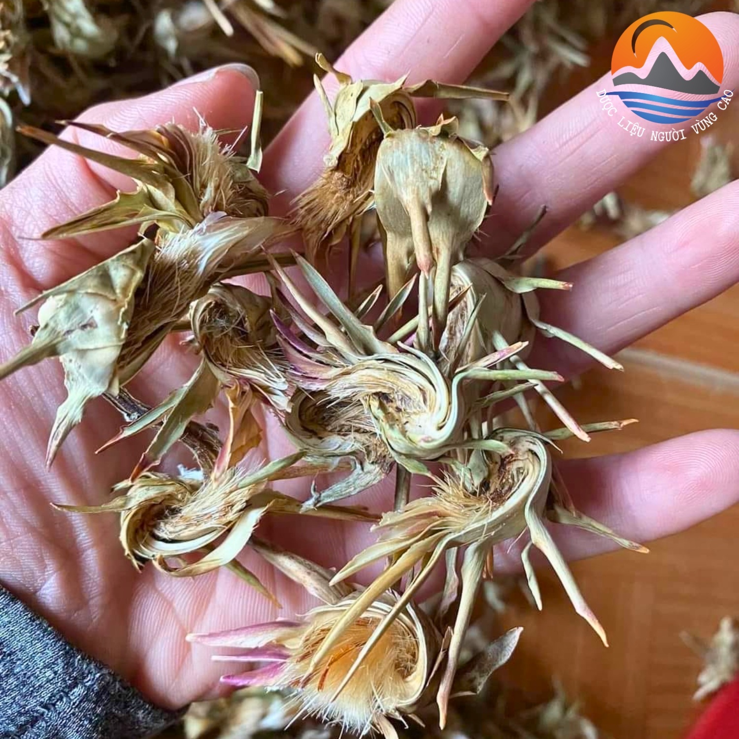 Hoa Atiso xanh Sa Pa sấy khô loại 1 thượng hạng, bông actiso Đà Lạt giúp tăng cường chức năng gan, đào thải độc tố