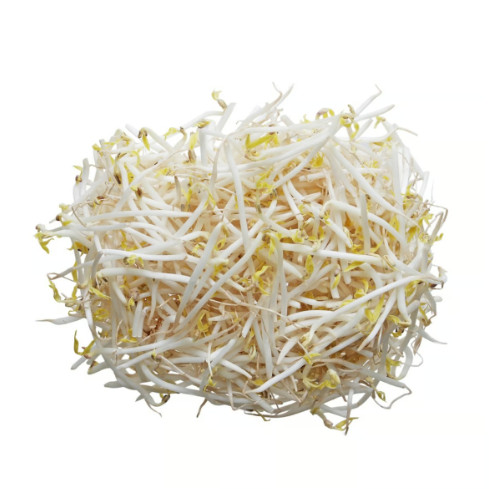 [Chỉ Giao HCM] Giá Sống - 200g