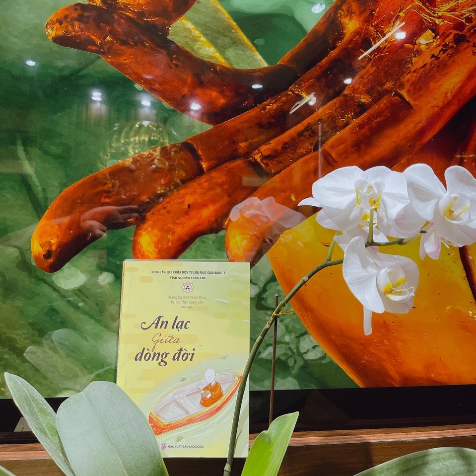 An lạc giữa dòng đời