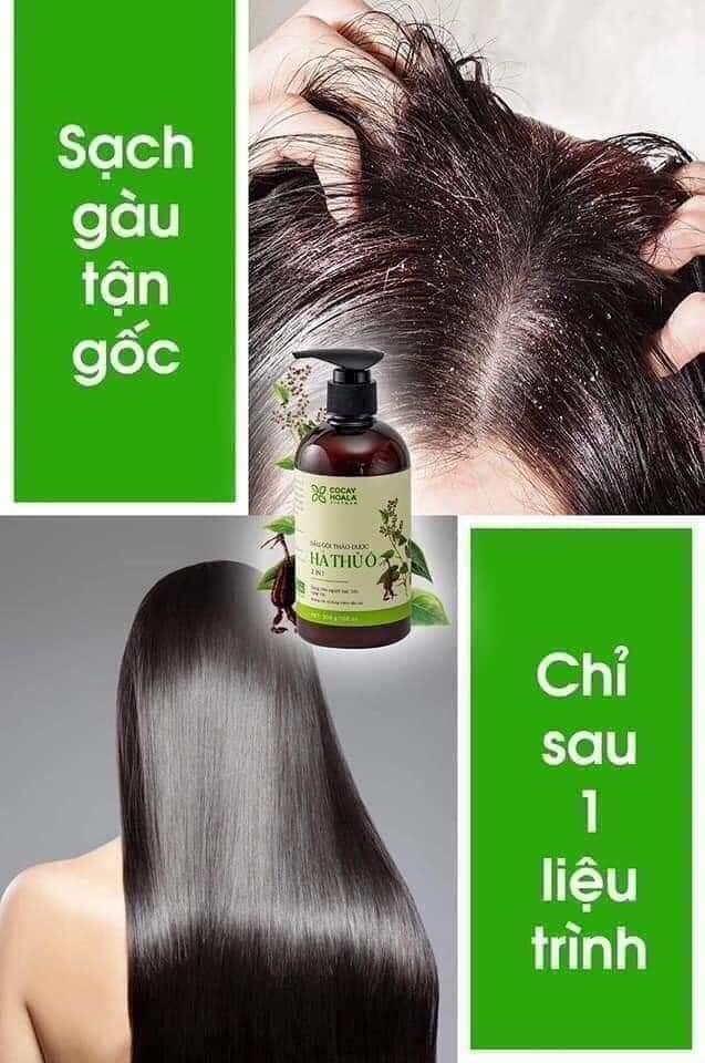 DẦU GỘI THẢO DƯỢC HÀ THỦ Ô (dược liệu thiên nhiên)