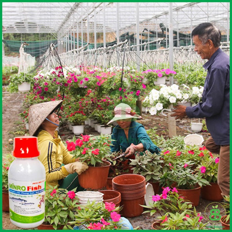 Phân Bón Vi Lượng Thủy Phân Cá Biển VIF SUP Bo Chai 100ml