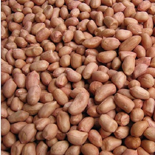 Lạc nhân trắng - Đậu phộng trắng