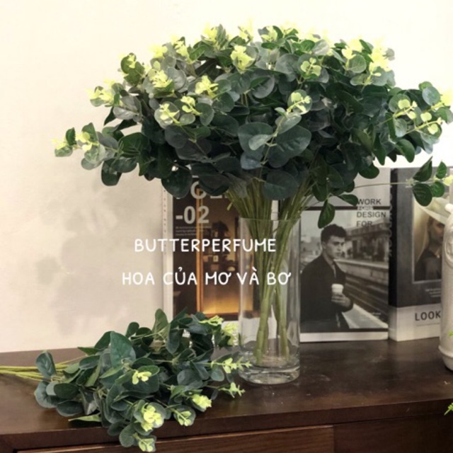 Cụm lá táo bạc 50cm 16 nhánh