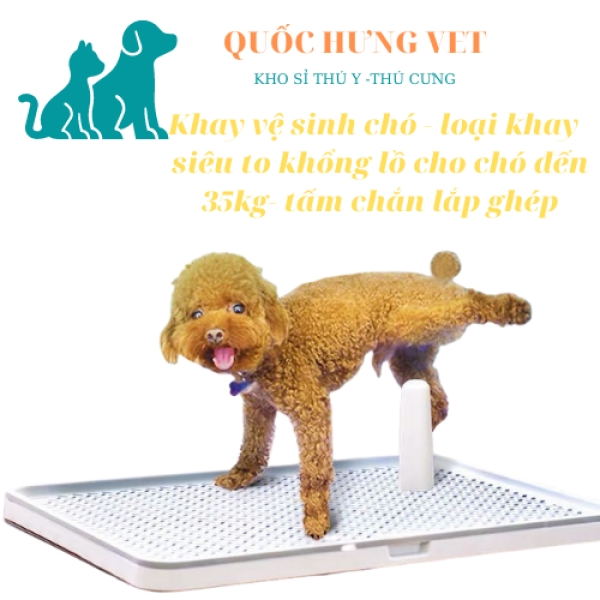 Khay vệ sinh chó - loại khay siêu to khổng lồ cho chó đến 35kg- QUỐC HƯNG VET