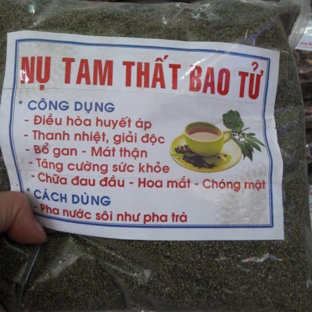 Nụ tam thất bao tử