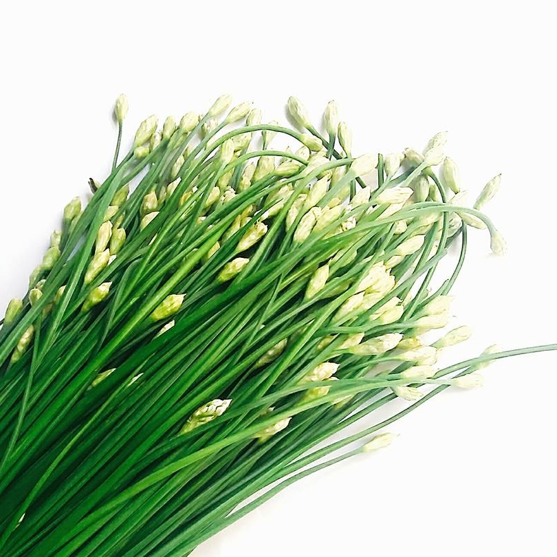 Hạt giống Hẹ ăn bông  VTS181 | Vạn Tín Store