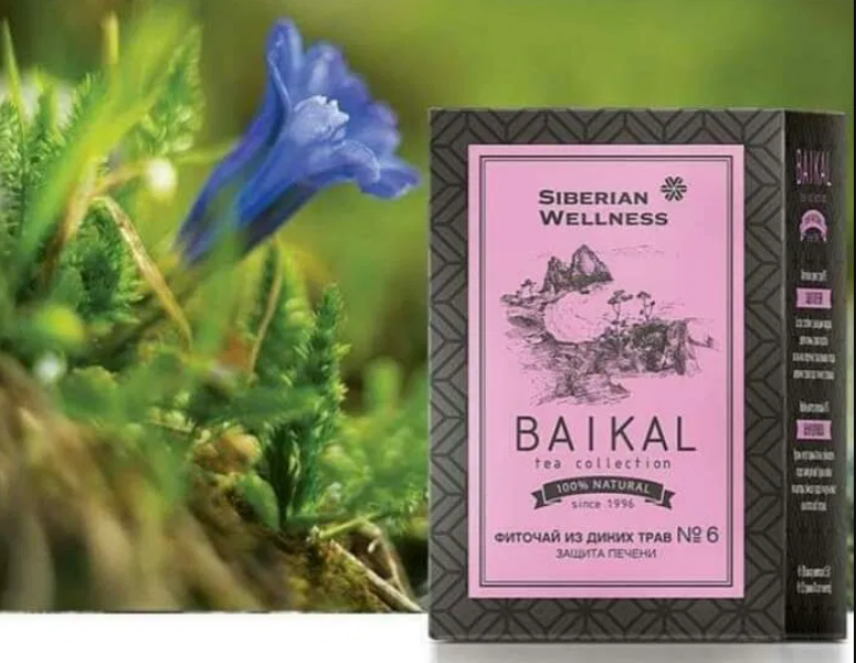 Trà thảo mộc Baikal tea collection. Herbal tea №6