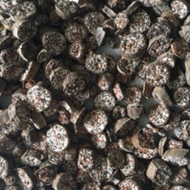 sỉ toàn quốc 1kg chuối hột rừng thái lát