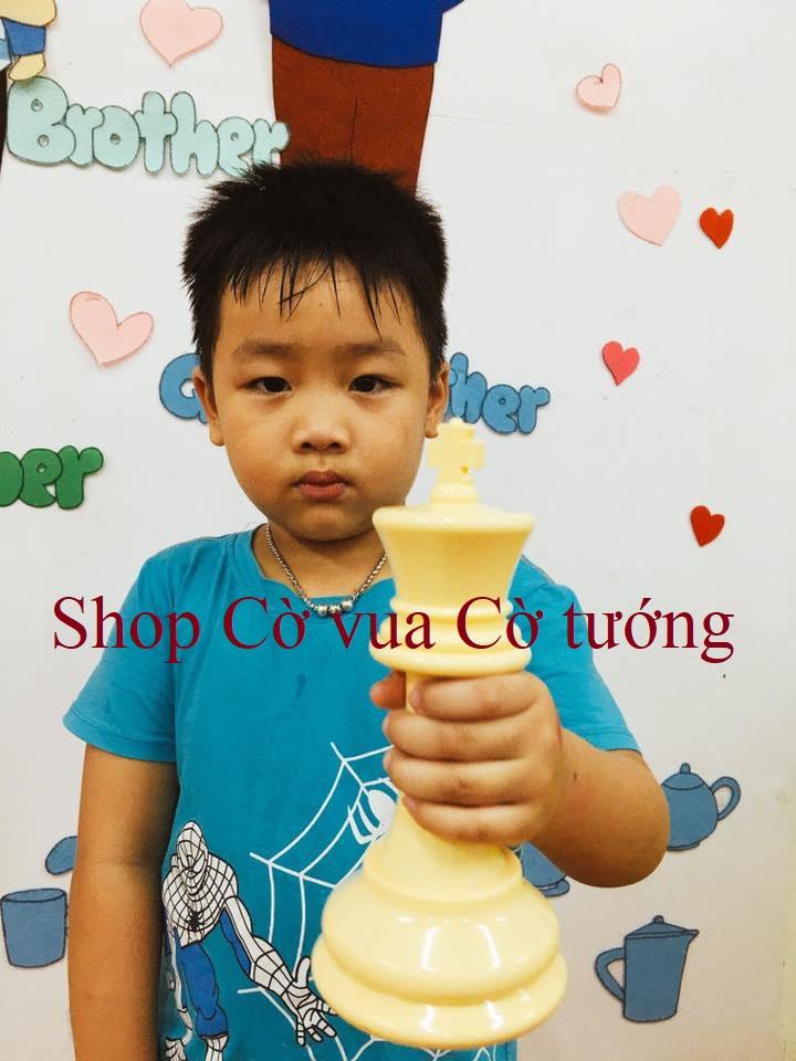 Bộ cờ vua vận động cỡ nhỏ