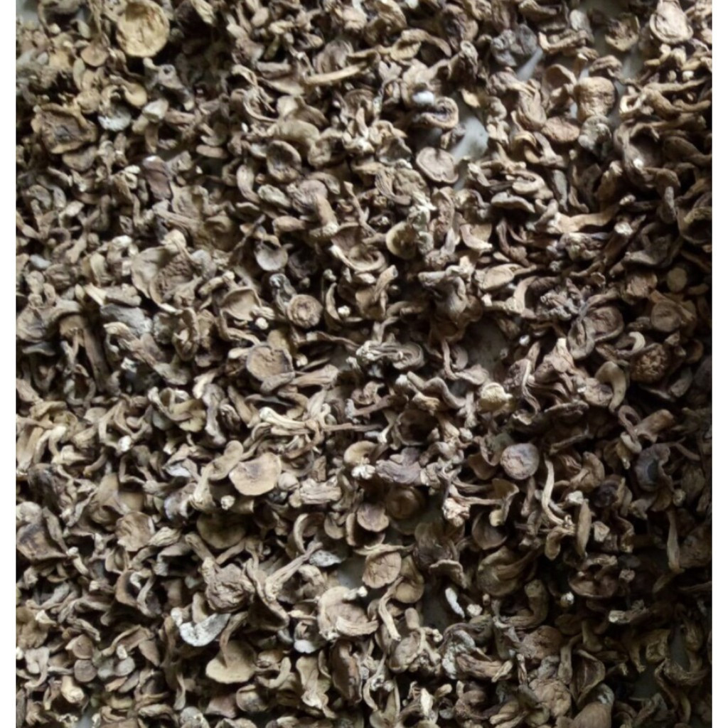 100g nấm tràm khô