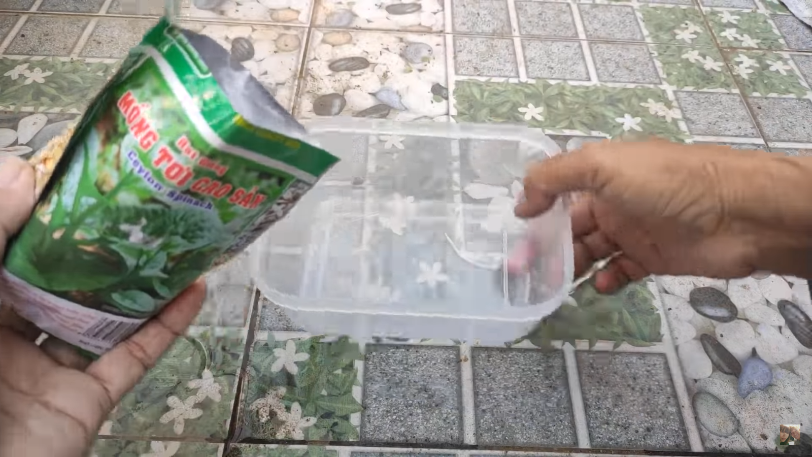 [HCM] Mồng tơi cao sản Phú Nông 20g
