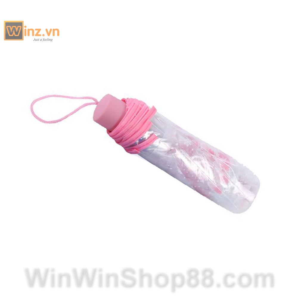 [HCM]Dù xếp trong suốt hoa anh đào V.2