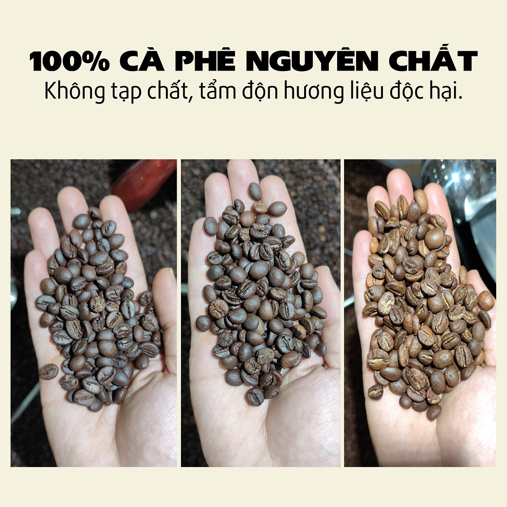 Cà phê Robusta Honey [500g] - 100% Cà phê rang mộc nguyên chất, pha phin, pha máy - TBCAFE