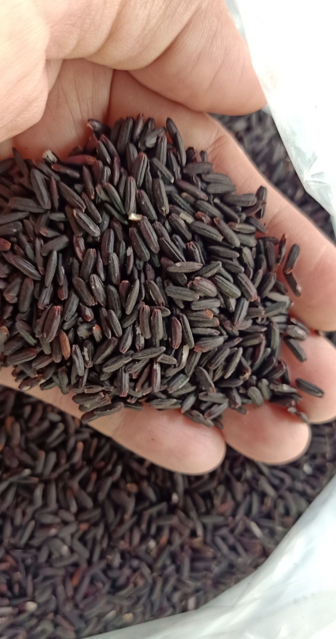 Gạo Lức Tím Than 3kg