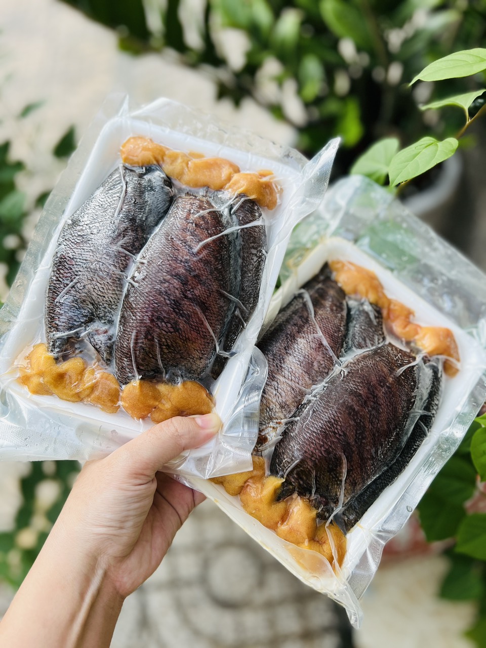 [GIAO NHANH 2H HCM] Giá Sỉ Cá Sặc Trứng 1 Nắng