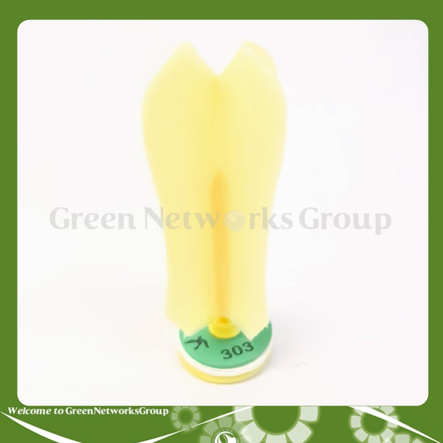 Cầu đá Mút Song Yến 505 , 301 , 201 ( 1 Trái ) Greennetworks